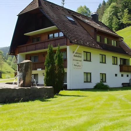 Gaestehaus Absbachtal Bad Rippoldsau-Schapbach Exterior photo