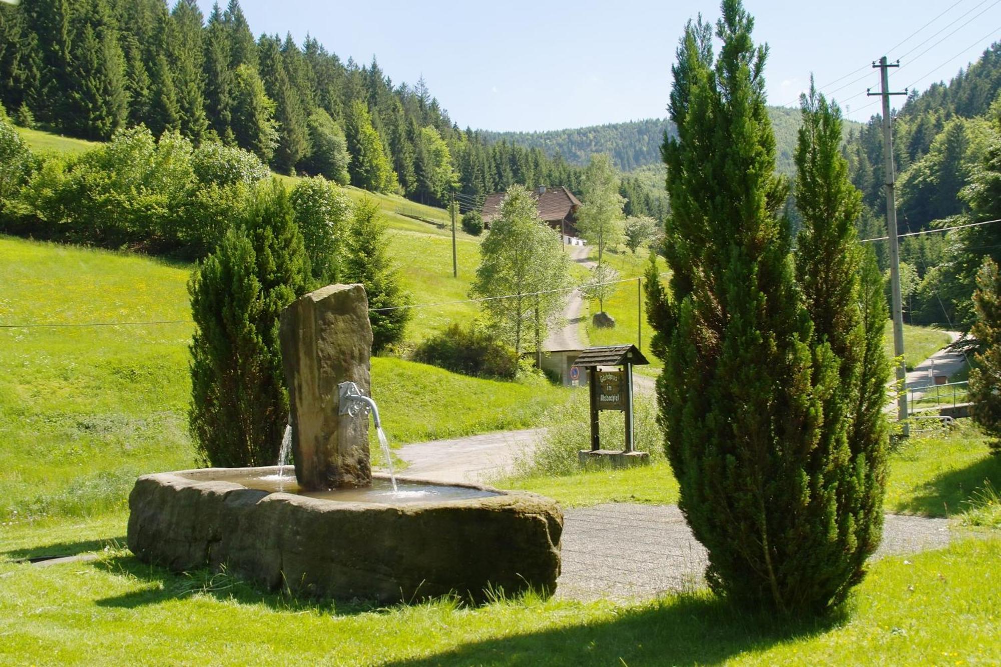 Gaestehaus Absbachtal Bad Rippoldsau-Schapbach Exterior photo